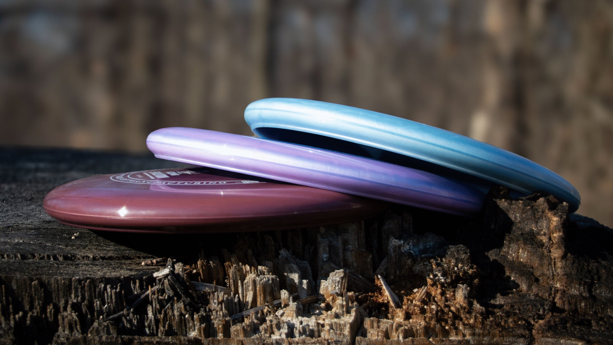 Three disc golf discs—one maroon, one purple, and one blue—are stacked on a weathered tree stump outdoors.