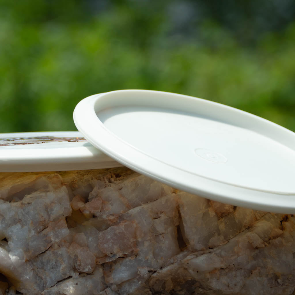 Black Zombie Shotgun — SureGrip Superglow