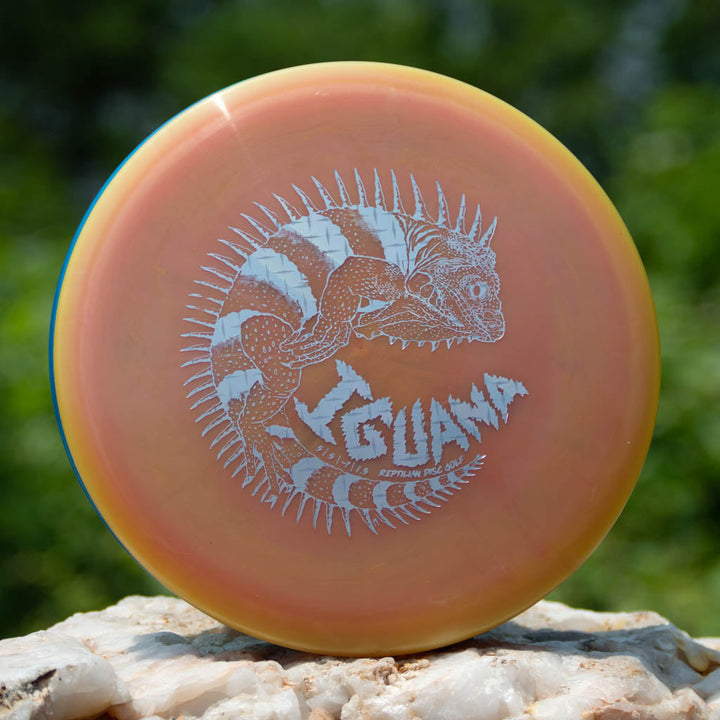 Reptilian DG Iguana Amber