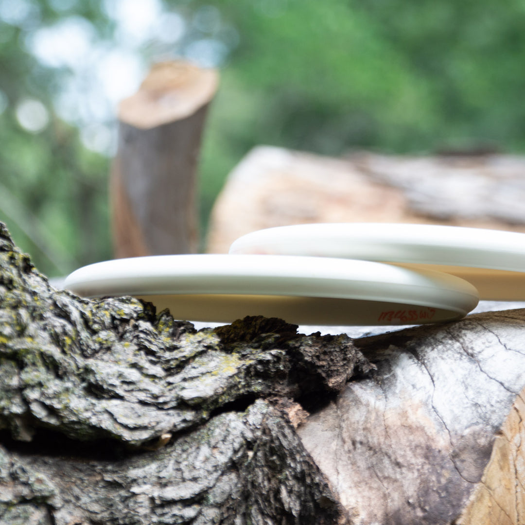 Two De'Anthony Thomas' Wizard - SS - Superglow discs sit on rough tree bark, with blurred green foliage in the background.