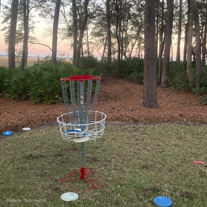 A Titan Pro 24 Portable Basket stands on grass with scattered discs nearby, surrounded by trees and shrubs as the sun sets.