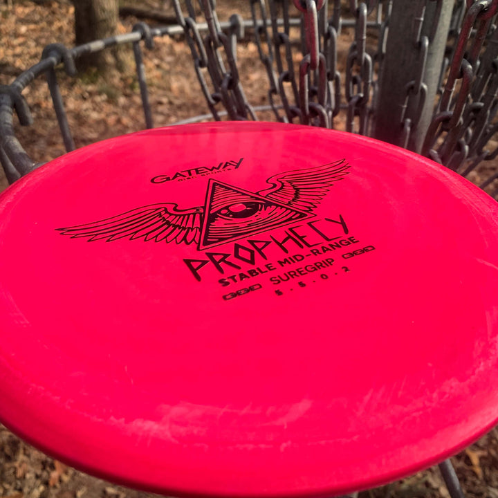 Close-up of a red Gateway Prophecy - SureGrip disc golf disc with a winged eye design, resting against metal basket chains outdoors—perfect for consistent flight.