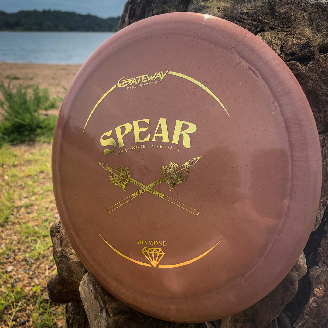 A brown Spear - Diamond disc from Gateway rests against a tree trunk by the beach, with water and trees in the background.