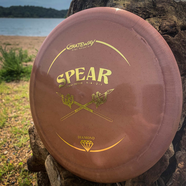 A brown Spear - Diamond disc from Gateway rests against a tree trunk by the beach, with water and trees in the background.